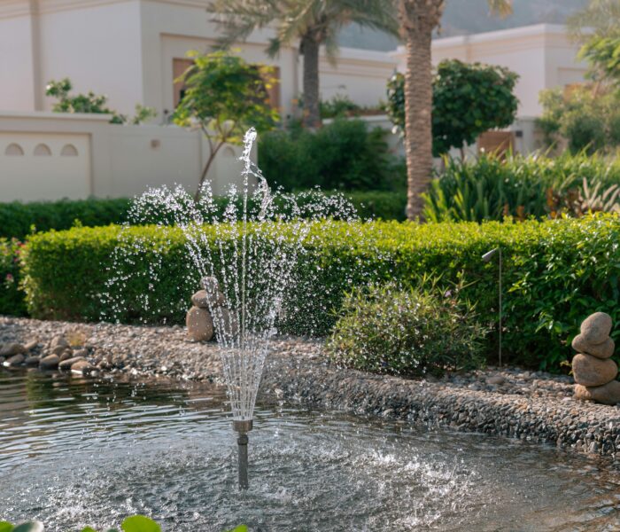 pexels-aj-ahamad-767001191-32217874